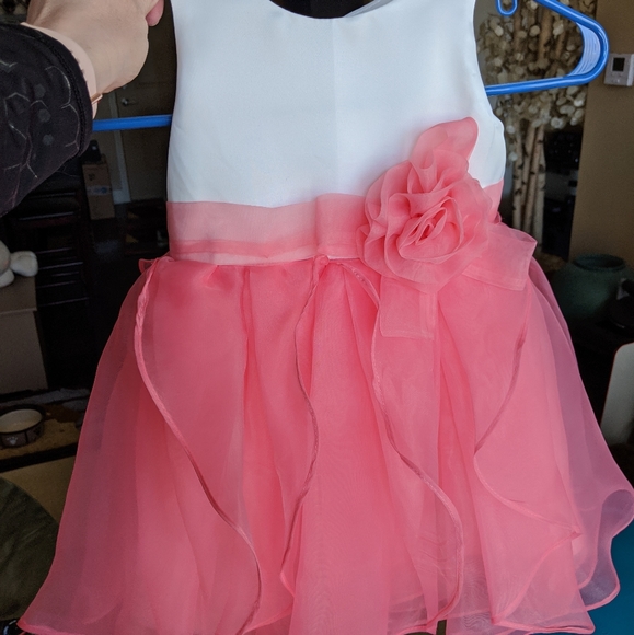 JJs House Other - **JJs House** Watermelon Satin Knee-length Flower Girl Dress!